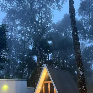 Resort Roots Munnar